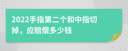 2022手指第二个和中指切掉，应赔偿多少钱