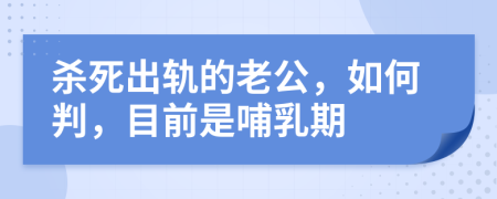 杀死出轨的老公，如何判，目前是哺乳期