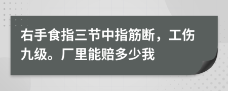 右手食指三节中指筋断，工伤九级。厂里能赔多少我