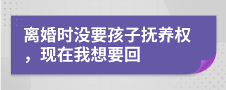 离婚时没要孩子抚养权，现在我想要回