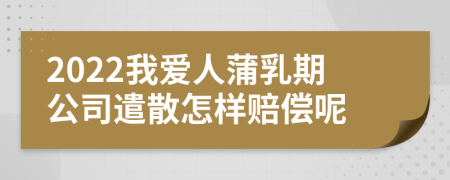 2022我爱人蒲乳期公司遣散怎样赔偿呢