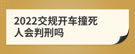 2022交规开车撞死人会判刑吗