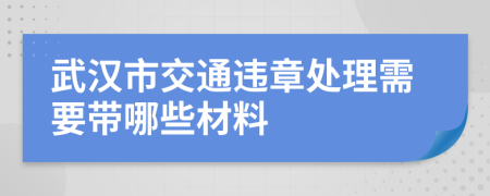 武汉市交通违章处理需要带哪些材料