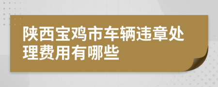 陕西宝鸡市车辆违章处理费用有哪些