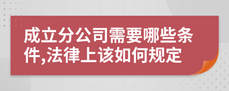 成立分公司需要哪些条件,法律上该如何规定