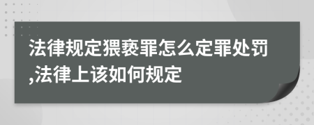 法律规定猥亵罪怎么定罪处罚,法律上该如何规定