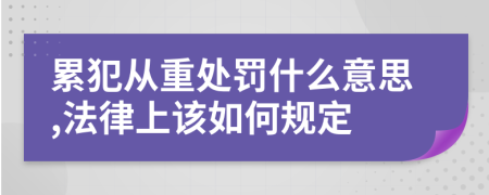 累犯从重处罚什么意思,法律上该如何规定