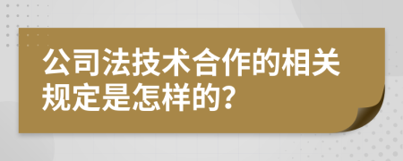 公司法技术合作的相关规定是怎样的？