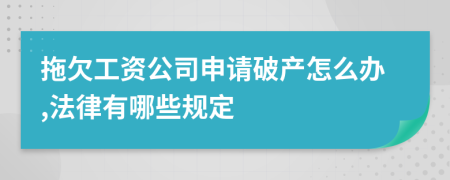 拖欠工资公司申请破产怎么办,法律有哪些规定