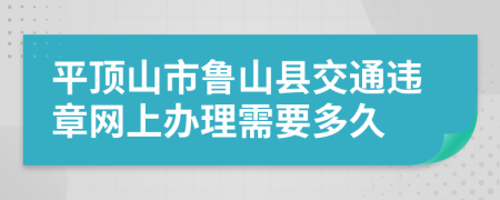 平顶山市鲁山县交通违章网上办理需要多久