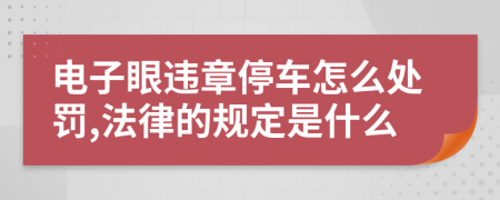 电子眼违章停车怎么处罚,法律的规定是什么