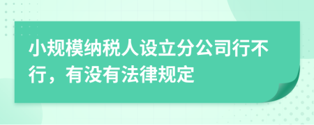 小规模纳税人设立分公司行不行，有没有法律规定