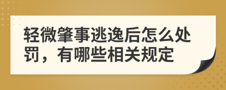 轻微肇事逃逸后怎么处罚，有哪些相关规定