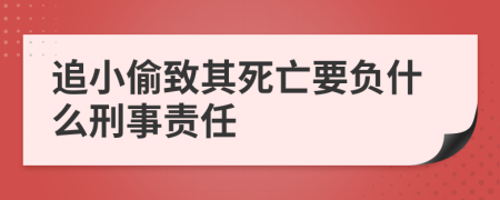 追小偷致其死亡要负什么刑事责任