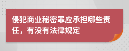 侵犯商业秘密罪应承担哪些责任，有没有法律规定