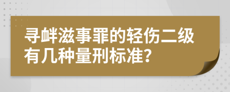 寻衅滋事罪的轻伤二级有几种量刑标准？