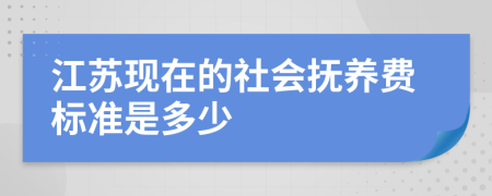 江苏现在的社会抚养费标准是多少