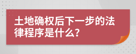 土地确权后下一步的法律程序是什么？