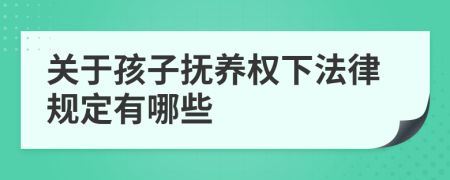 关于孩子抚养权下法律规定有哪些