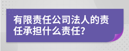 有限责任公司法人的责任承担什么责任？