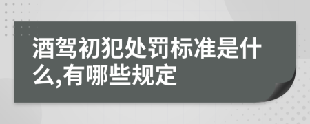 酒驾初犯处罚标准是什么,有哪些规定