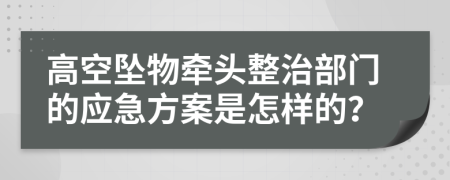高空坠物牵头整治部门的应急方案是怎样的？