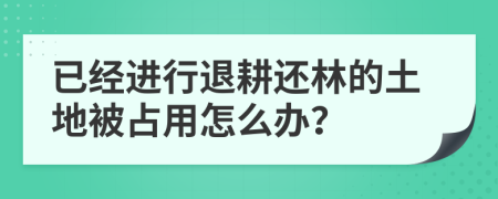 已经进行退耕还林的土地被占用怎么办？