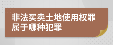 非法买卖土地使用权罪属于哪种犯罪