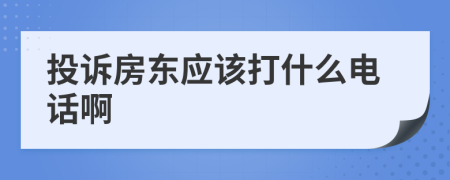 投诉房东应该打什么电话啊