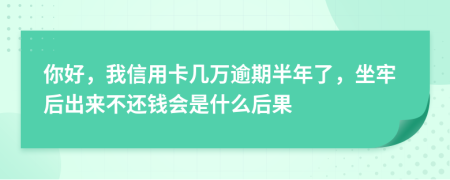 你好，我信用卡几万逾期半年了，坐牢后出来不还钱会是什么后果