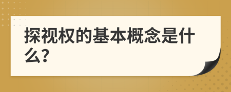 探视权的基本概念是什么？