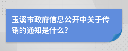玉溪市政府信息公开中关于传销的通知是什么？