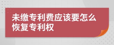 未缴专利费应该要怎么恢复专利权