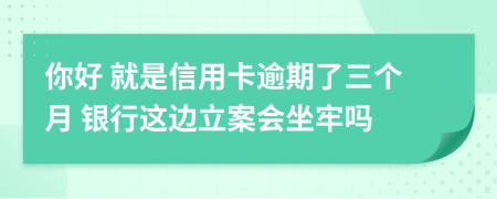 你好 就是信用卡逾期了三个月 银行这边立案会坐牢吗