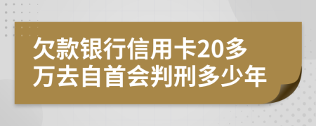 欠款银行信用卡20多万去自首会判刑多少年