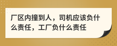 厂区内撞到人，司机应该负什么责任，工厂负什么责任