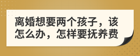 离婚想要两个孩子，该怎么办，怎样要抚养费