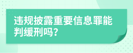 违规披露重要信息罪能判缓刑吗？