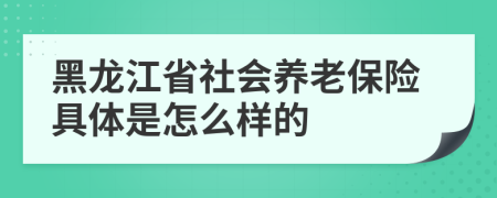 黑龙江省社会养老保险具体是怎么样的