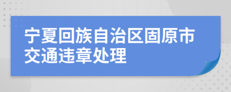 宁夏回族自治区固原市交通违章处理