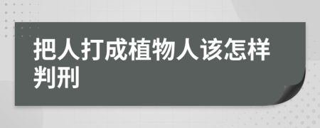 把人打成植物人该怎样判刑
