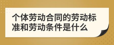 个体劳动合同的劳动标准和劳动条件是什么