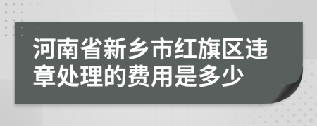河南省新乡市红旗区违章处理的费用是多少
