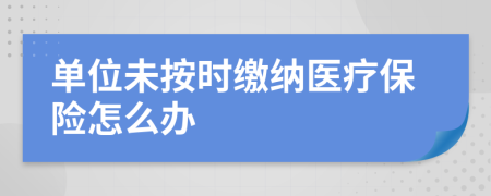 单位未按时缴纳医疗保险怎么办