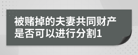 被赌掉的夫妻共同财产是否可以进行分割1