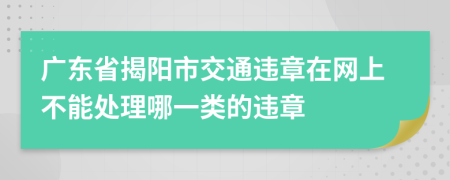 广东省揭阳市交通违章在网上不能处理哪一类的违章