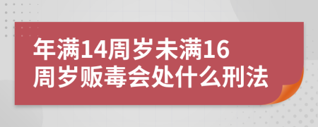 年满14周岁未满16周岁贩毒会处什么刑法