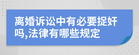 离婚诉讼中有必要捉奸吗,法律有哪些规定