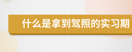 什么是拿到驾照的实习期