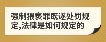 强制猥亵罪既遂处罚规定,法律是如何规定的